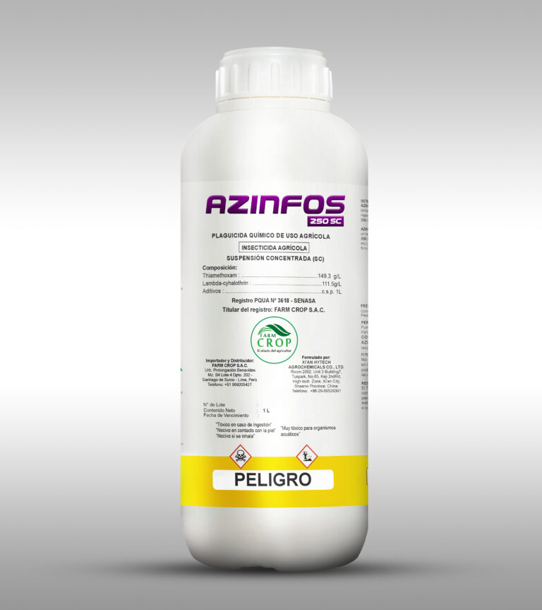 AZINFOS