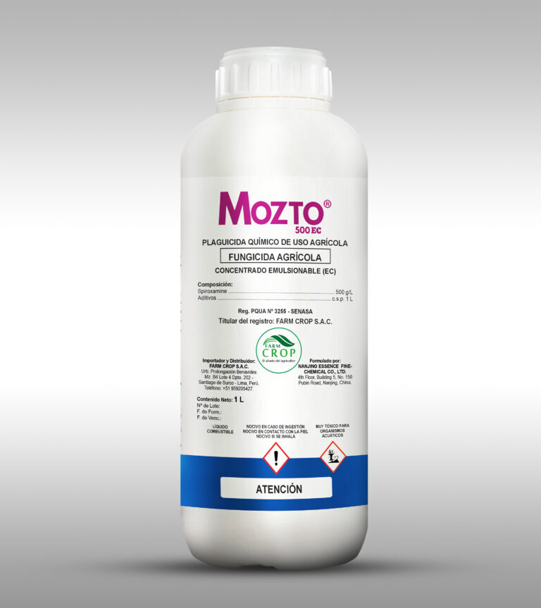 MOZTO
