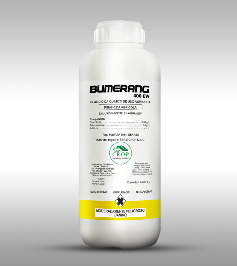 bumerang