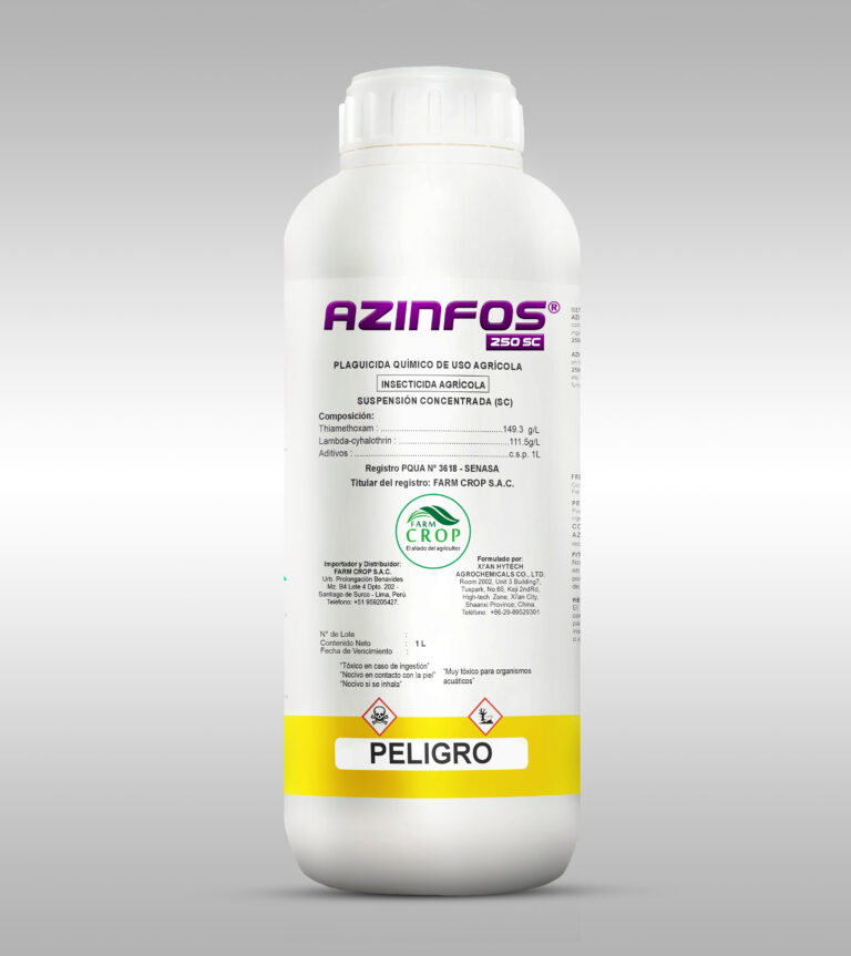 AZINFOS